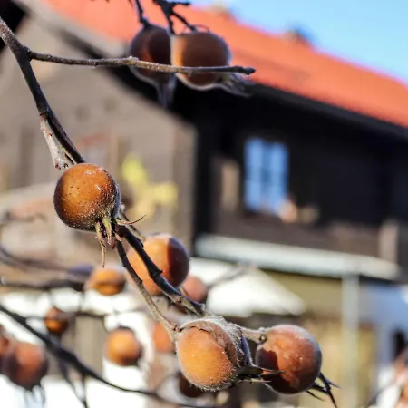 By Interhome Weissenbach (Salzburg)